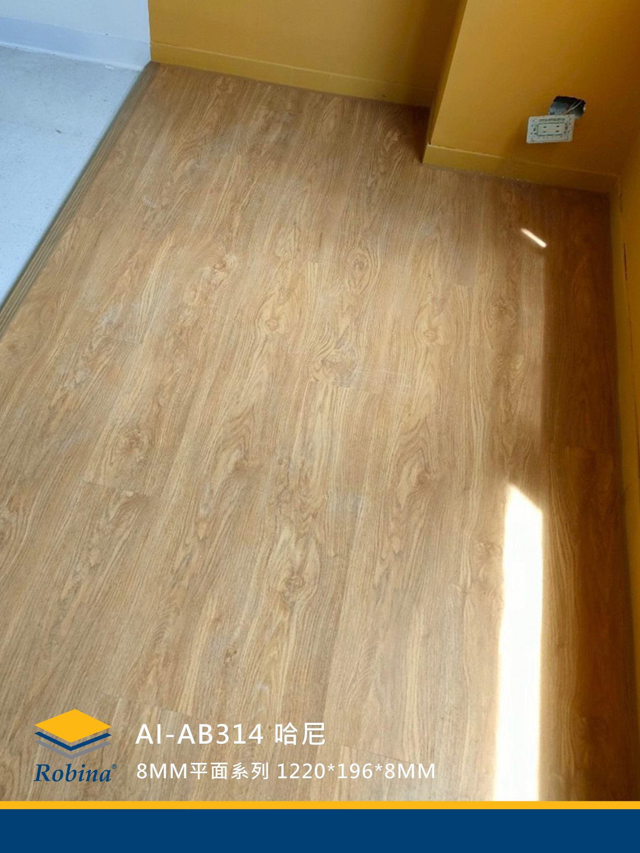 AB314 哈尼